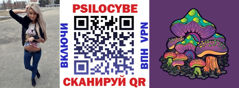 наркотики  Махачкала  blacksprut как войти  Псилоцибиновые грибы GOLDEN TEACHER 