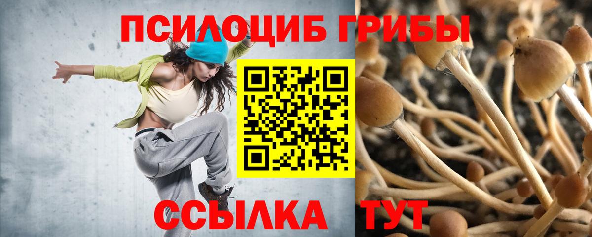 Псилоцибиновые грибы MAGIC MUSHROOMS  Вход с VPN  Махачкала  Галлюциногенные грибы Cubensis 